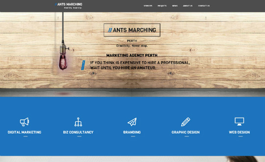 Ants Marching  Digital Marketing Perth